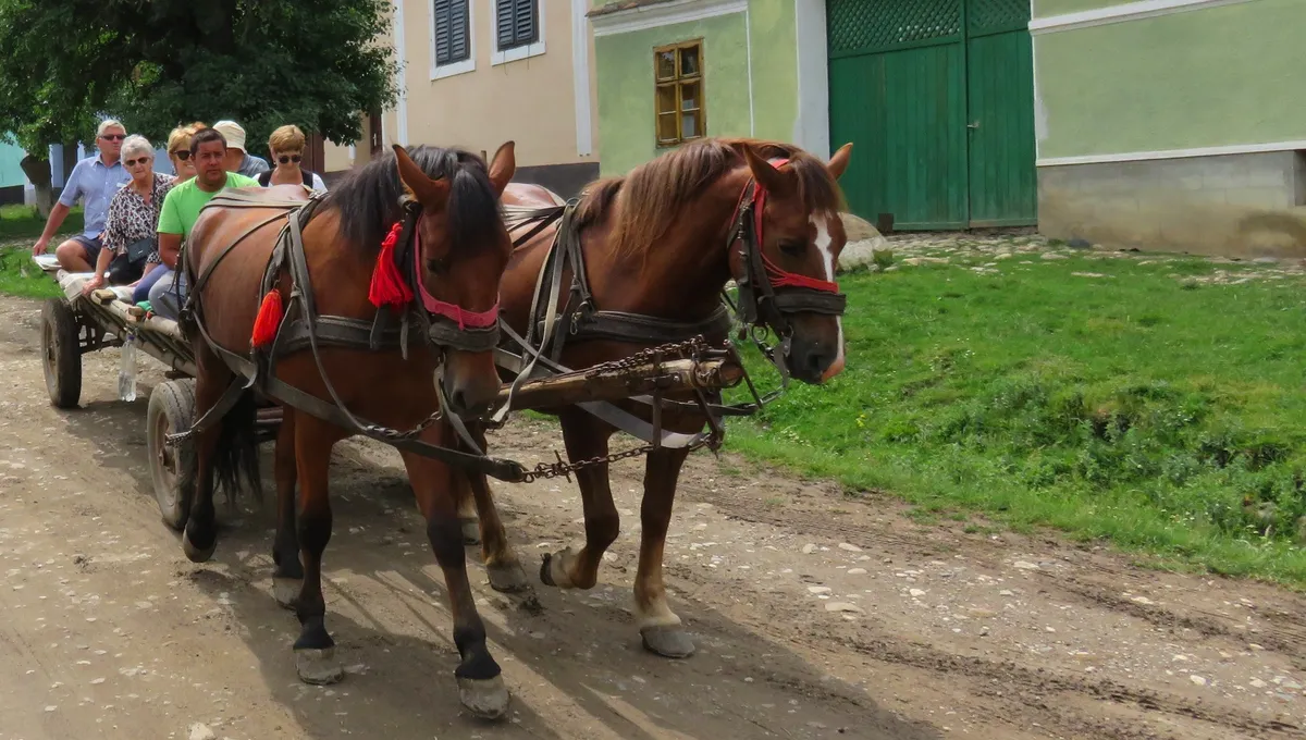 The horse pulled carts are now used also for  tourist purposes