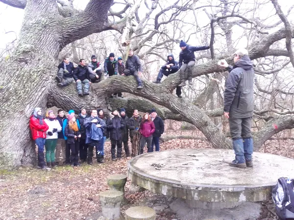 Belgian forestry school visiting the  centuries old oaks in the Danube Delta