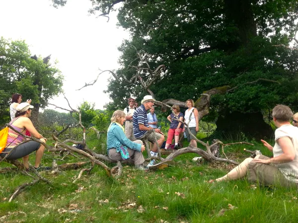 British groupp singing under centuries old oak tree, close to Sighisoara