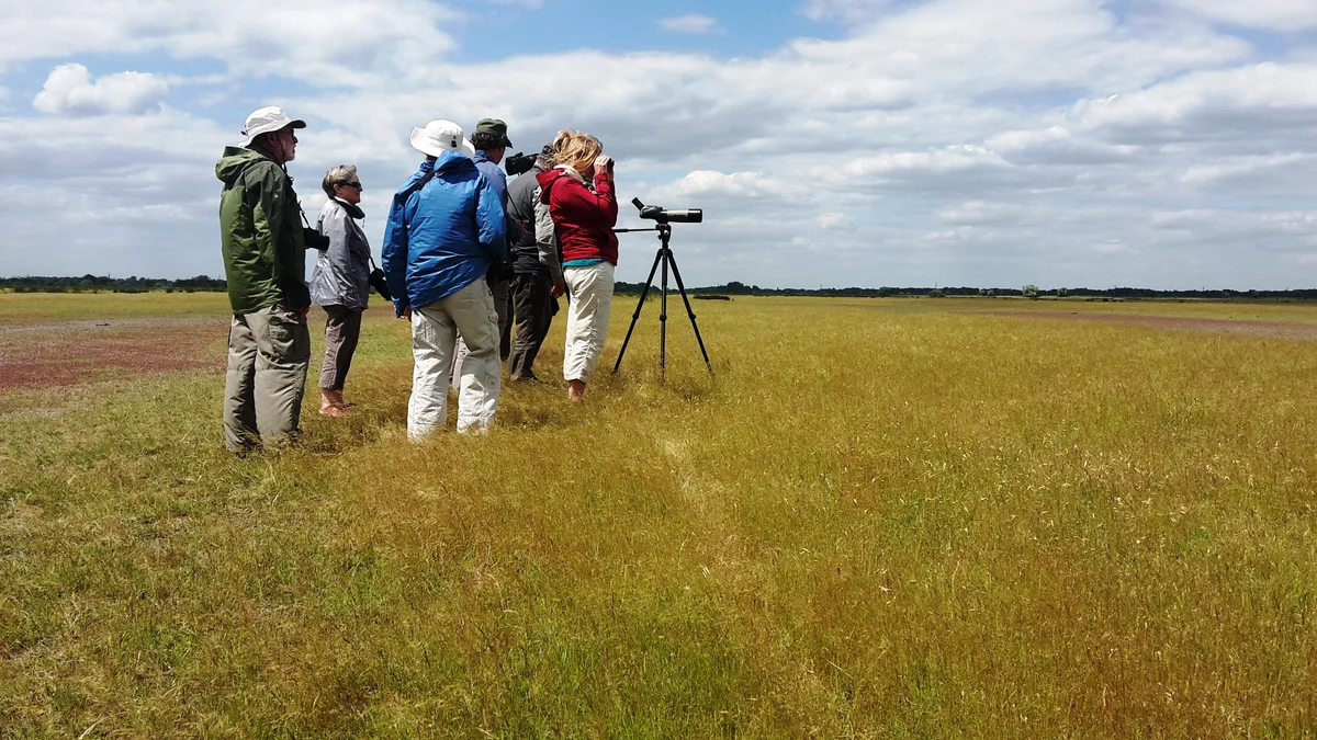 French group of photographers in the Dannube Delta