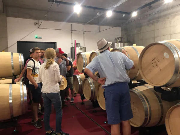 French group visiting Rasova wine cellars 1