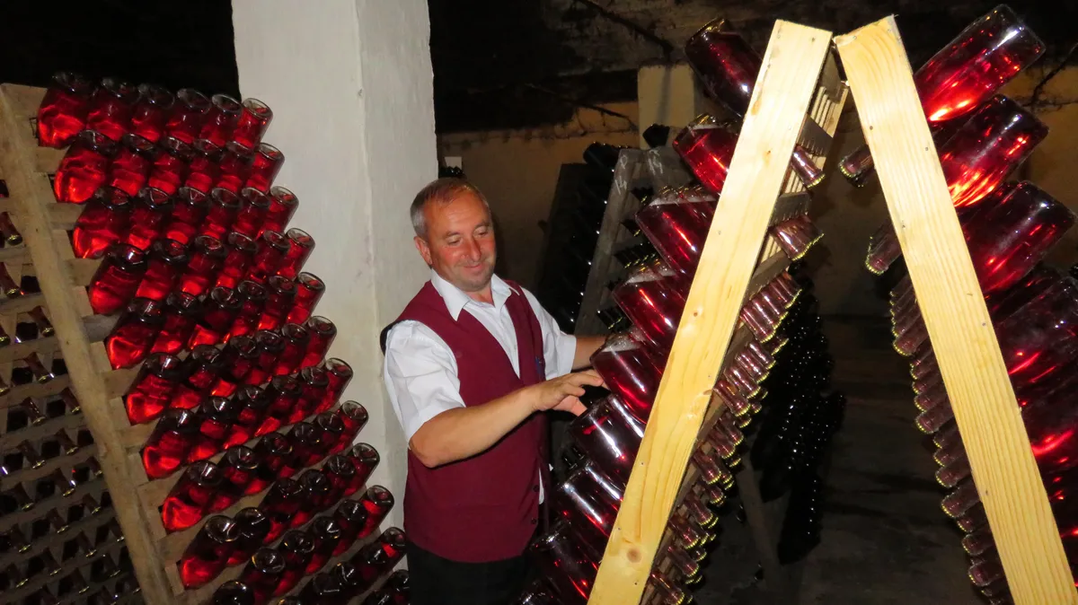 Hand rotating the wine bottles - part of the sparking wine making by the champenoise method - Rhein