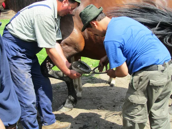 Horse shoes are still hand crafted in some villages