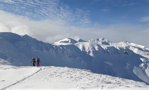 Nicu mountain guide & ski instructor doing some research in Rodna Mountains