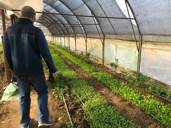 North American group visiting a small bio vegetable farm