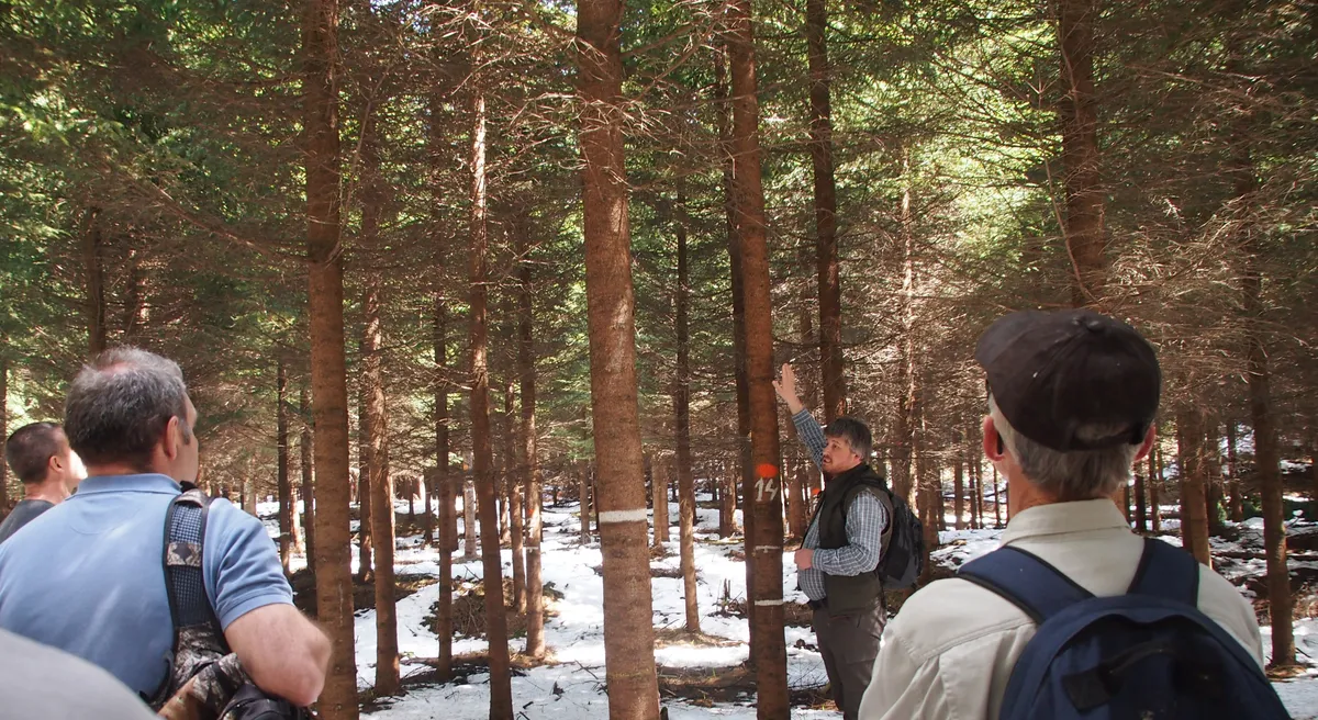 Swedish group of forestry owners  learning about Romanian forestry practices