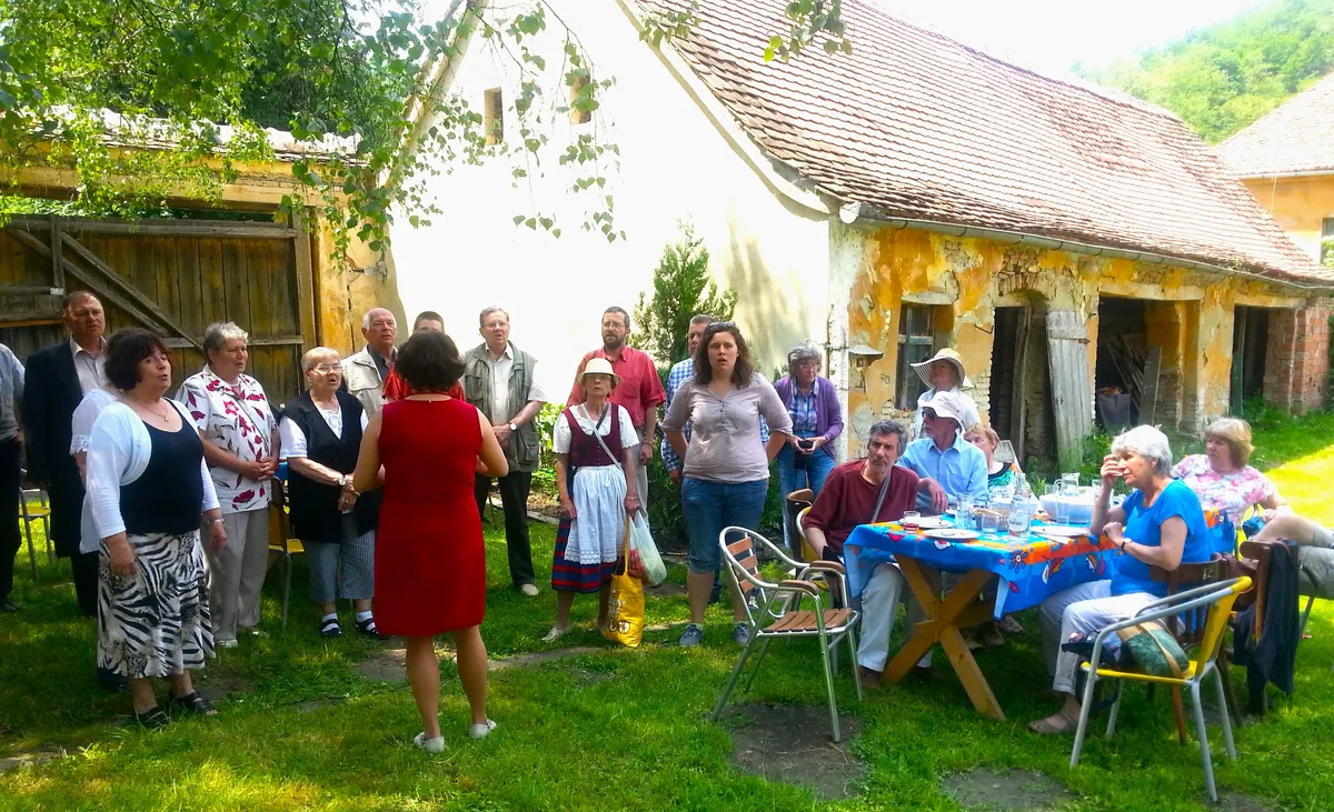 The choir in Medias performing for their British guests