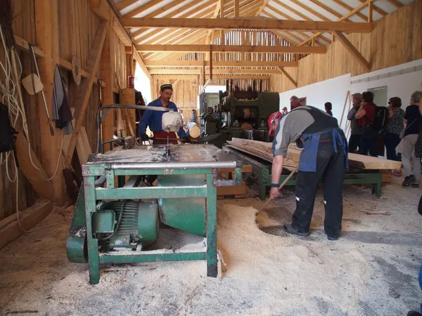 Visiting a wood processor in Transylvania