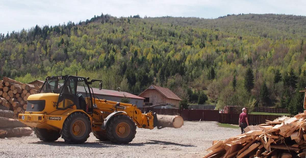 Visiting a wood processor